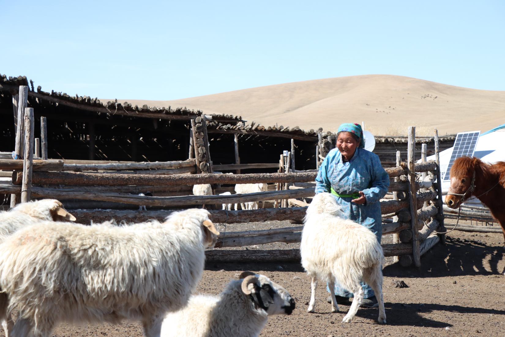 Herders spring quarter - Tapan's visit to Arkhangai