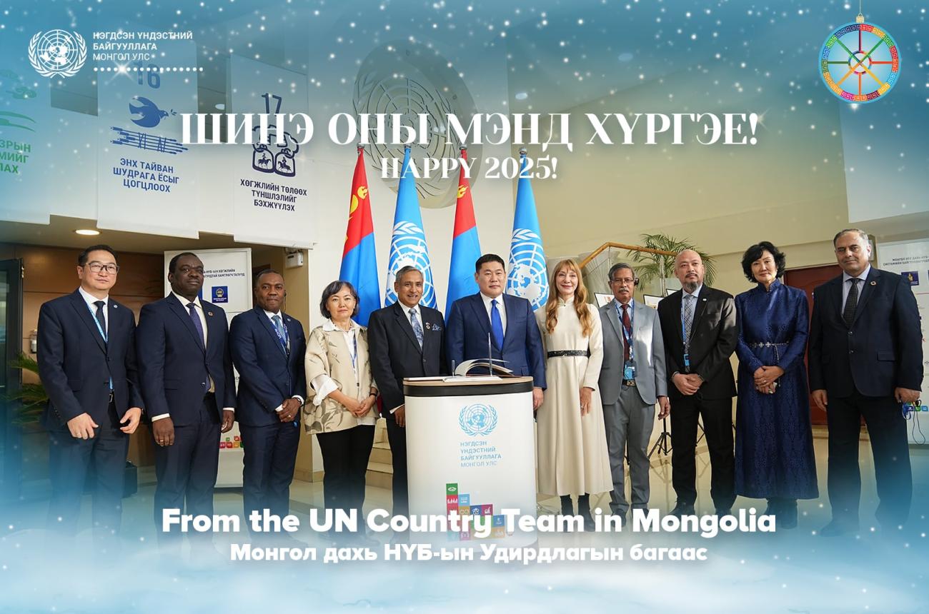 UN Country team Mongolia 2024