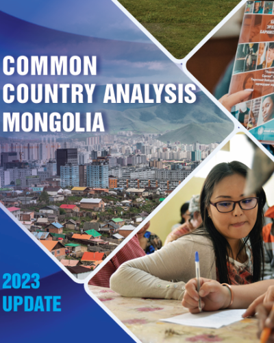 Common Country Analysis Update 2023