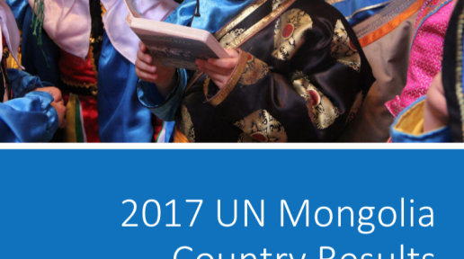 2017 UN Mongolia Country Results Report