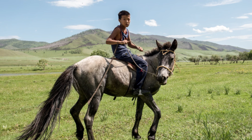 Mongolian boy in Tunkhel