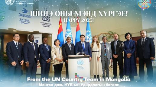 UN Country team Mongolia 2024